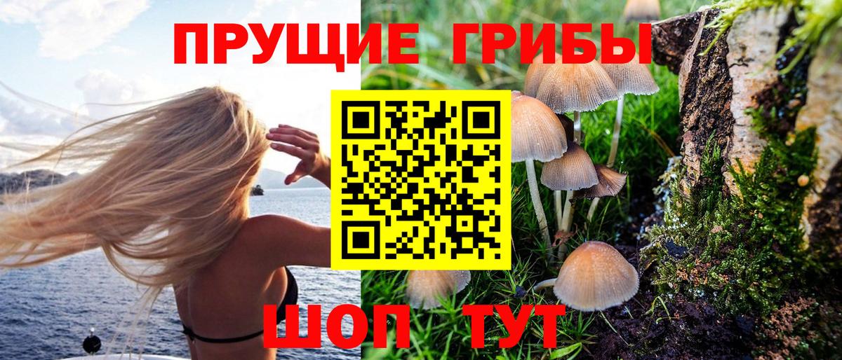 Зеленокумск  Галлюциногенные грибы мухоморы  где продают наркотики  Псилоцибиновые грибы мицелий  Вход с VPN 